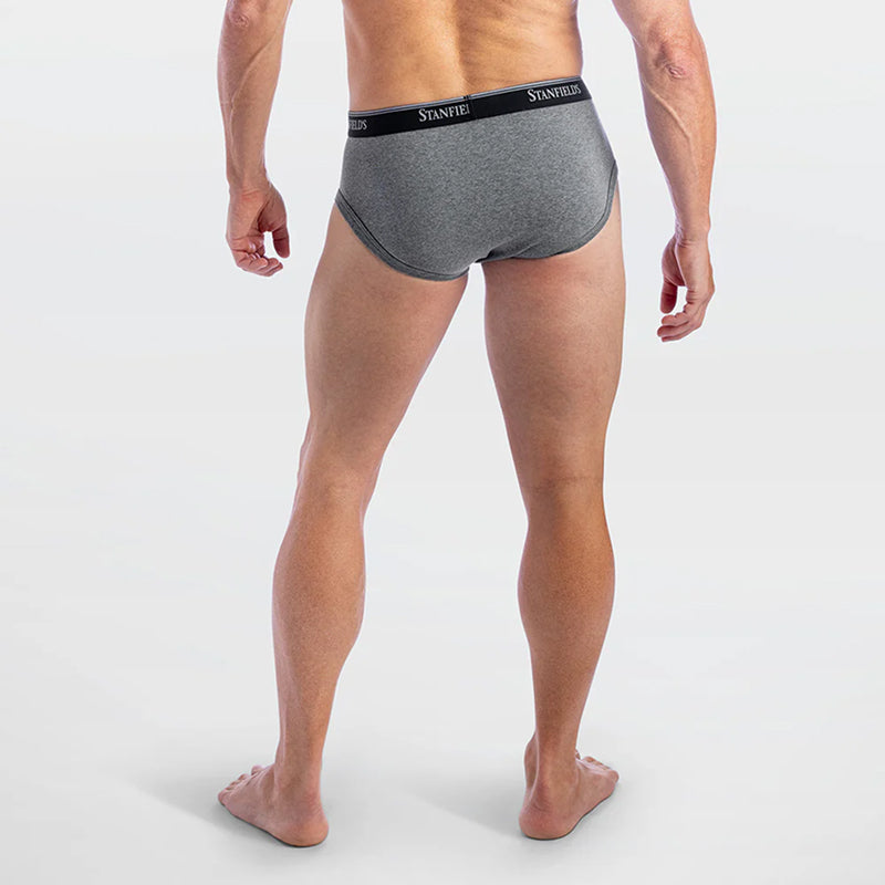 Stanfield's FLEX Cotton Rib Stretch Briefs - 2 Pack