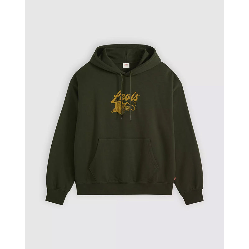 Levi's Graphic Boxy Hoodie