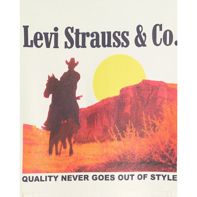 Levi's Relaxed Fit Graphic Hoodie