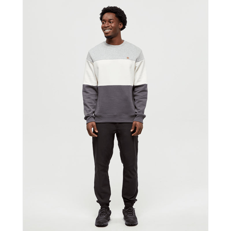 Tentree Men's Blocked Reynard Crew