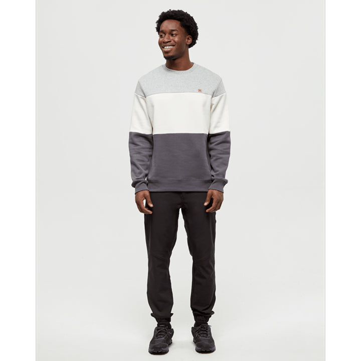 Tentree Men's Blocked Reynard Crew