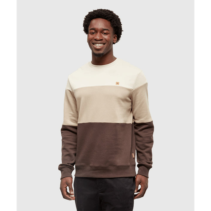Tentree Men's Blocked Reynard Crew