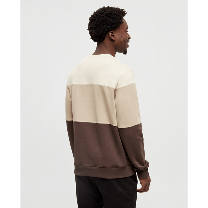 Tentree Men's Blocked Reynard Crew