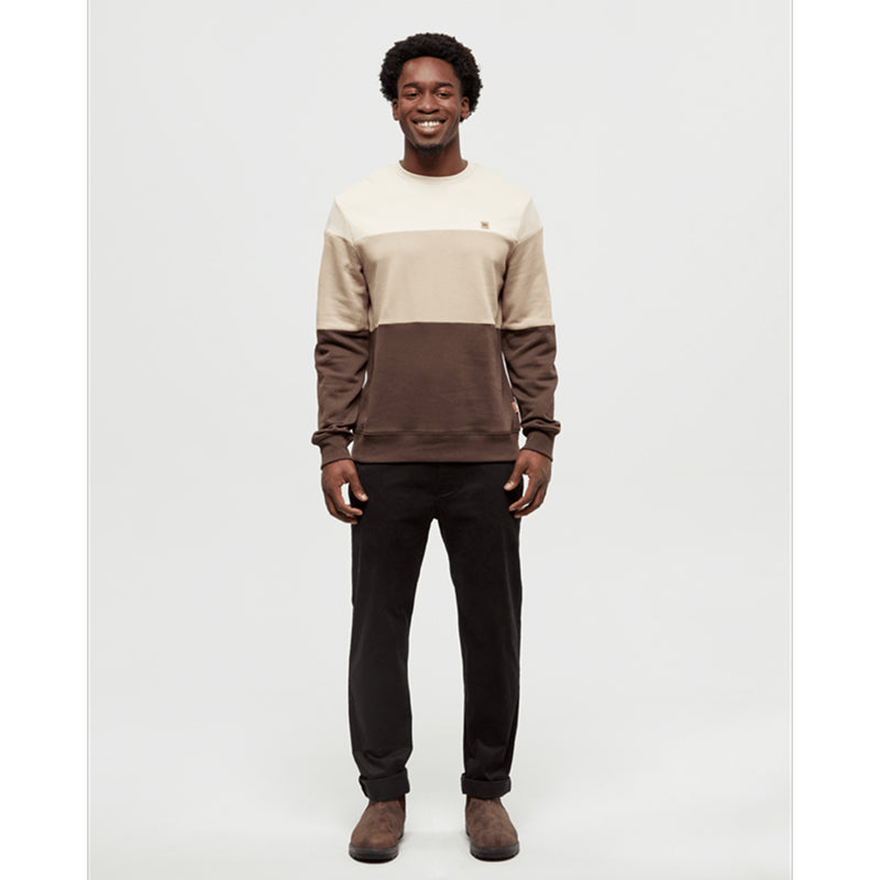 Tentree Men's Blocked Reynard Crew