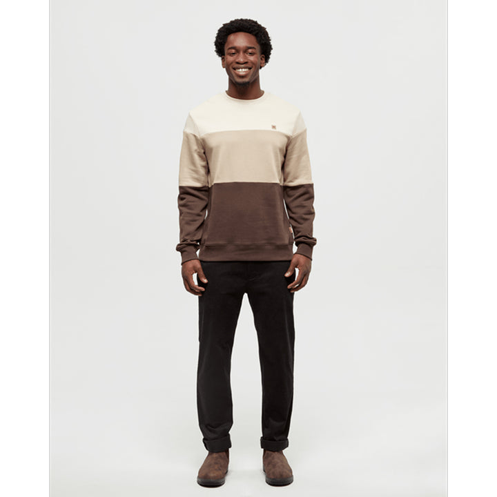 Tentree Men's Blocked Reynard Crew