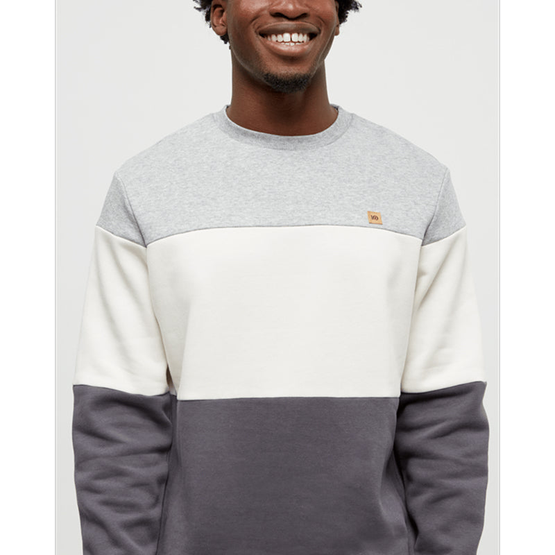 Tentree Men's Blocked Reynard Crew