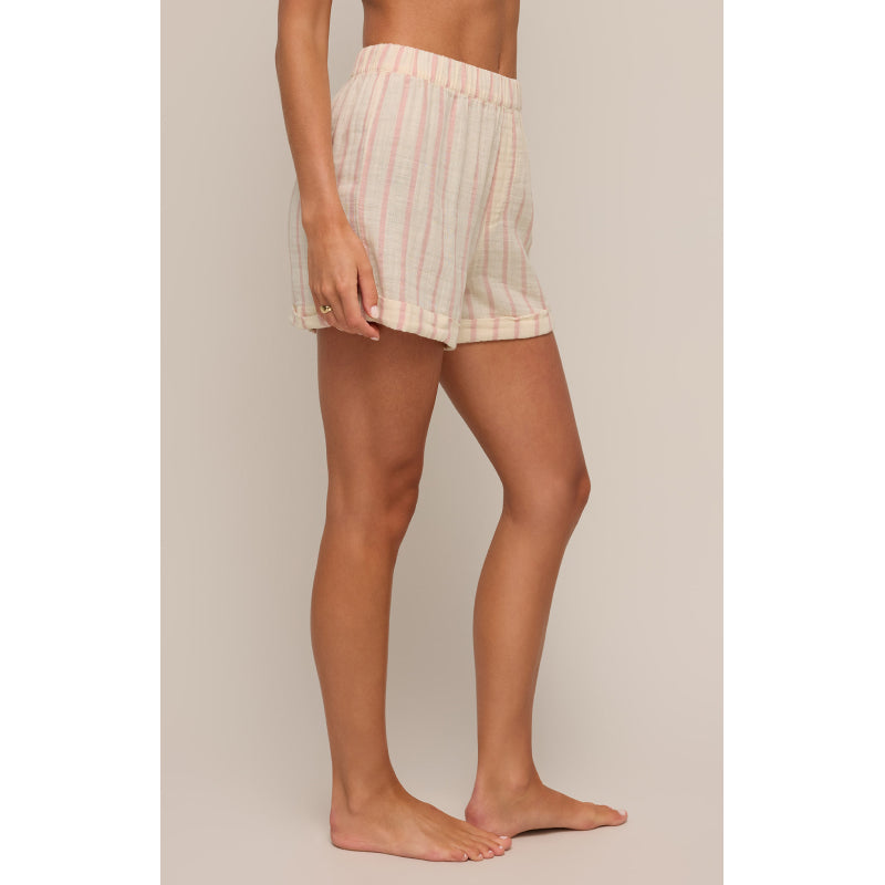 Z Supply Cabana Stripe Boxer