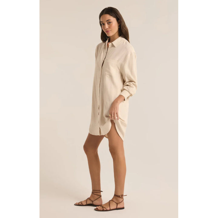 Z Supply Dover Linen Dress