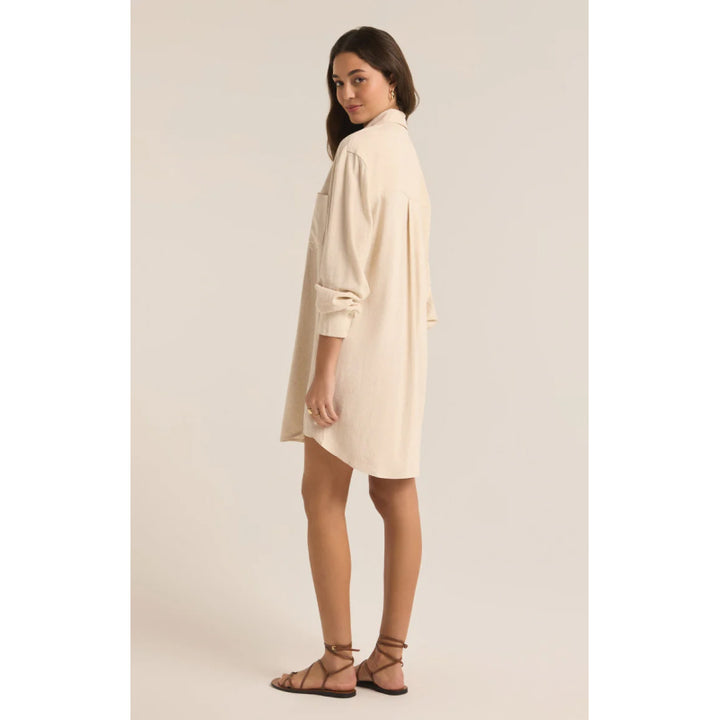 Z Supply Dover Linen Dress