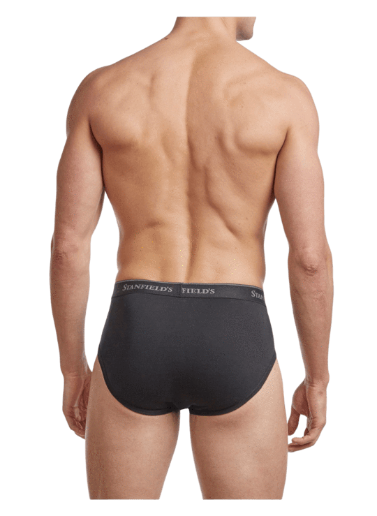 Stanfield's Underwear Boxers for Men