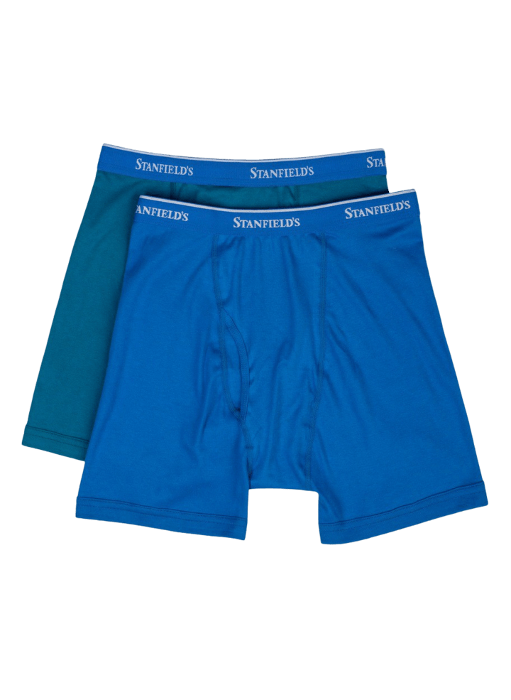 Stanfields Men's Premium Modern Fit Brief - 2 Pack – Take It Outside