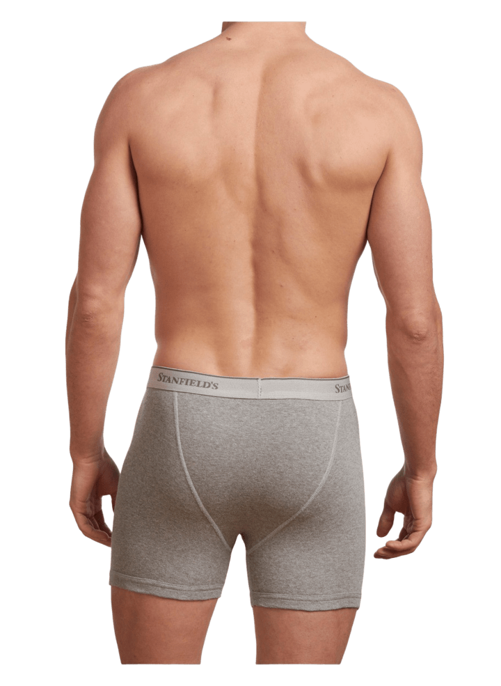 Stanfield's Men's Premium Cotton Modern Fit Low Rise Boxer Briefs