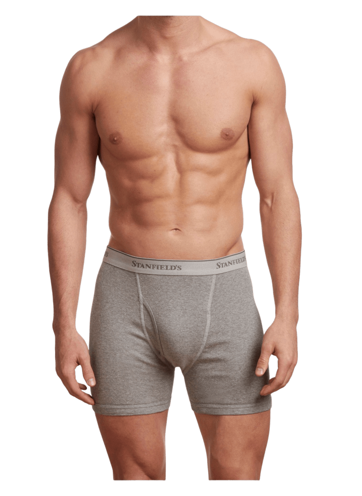 Stanfield's Two-Pack Cotton Modern Fit Briefs - Mens