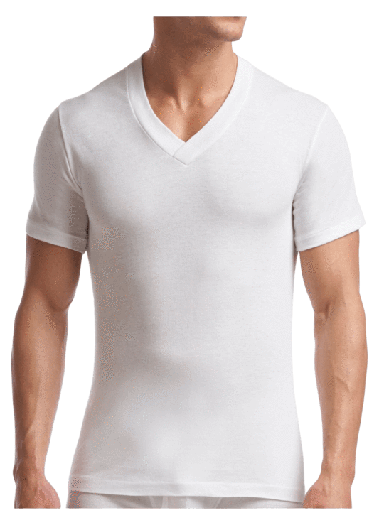 Stanfields - T-shirt à col en V Tall Supreme pour hommes - Lot de 2