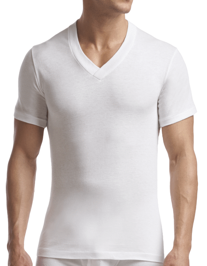 Stanfields Supreme T-shirt à col en V pour hommes - Lot de 2