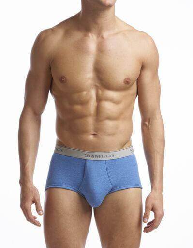 Stanfield's Two-Pack Cotton Modern Fit Briefs - Mens