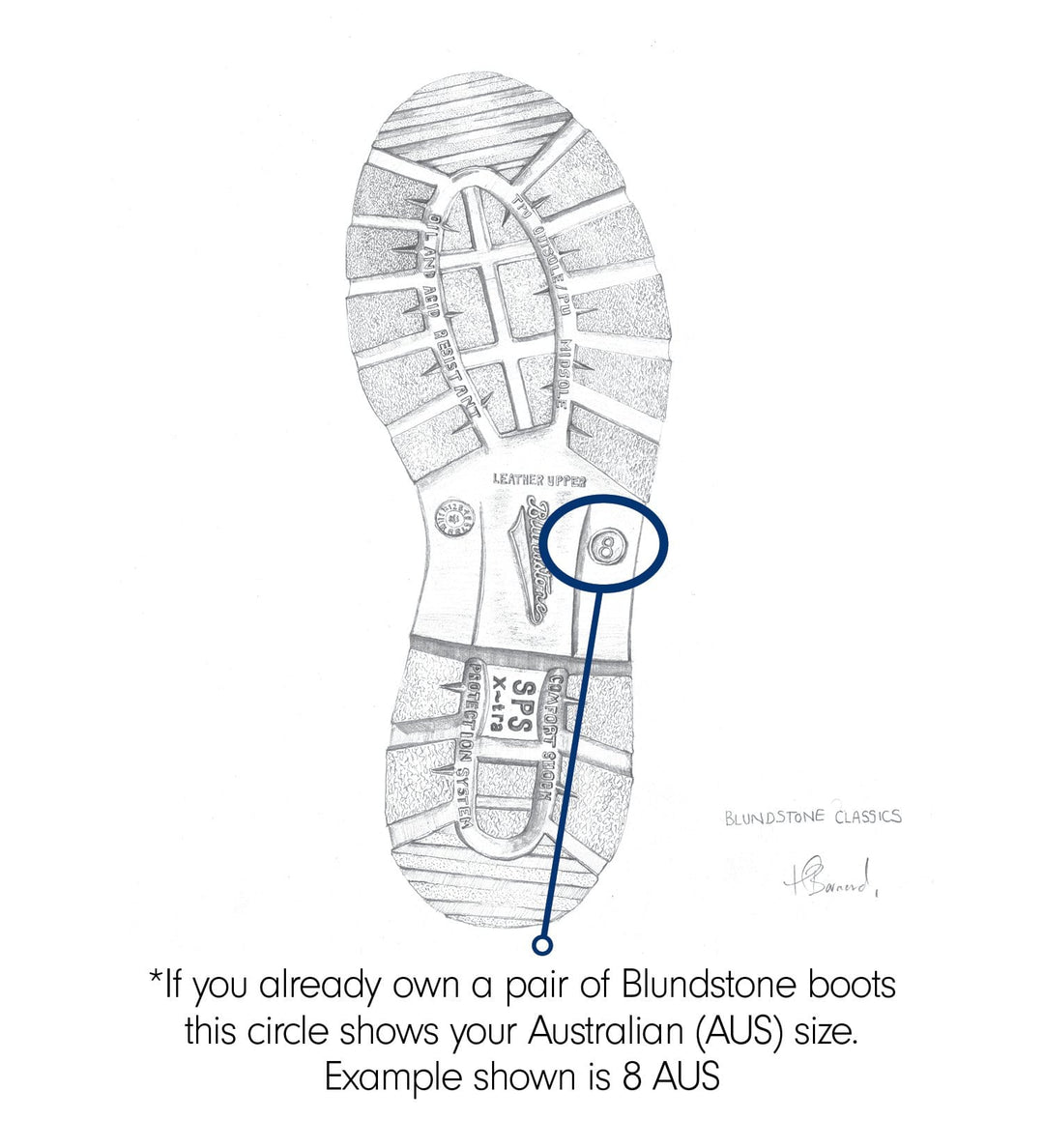 Blundstone 163 - Work & Safety Boot - Black