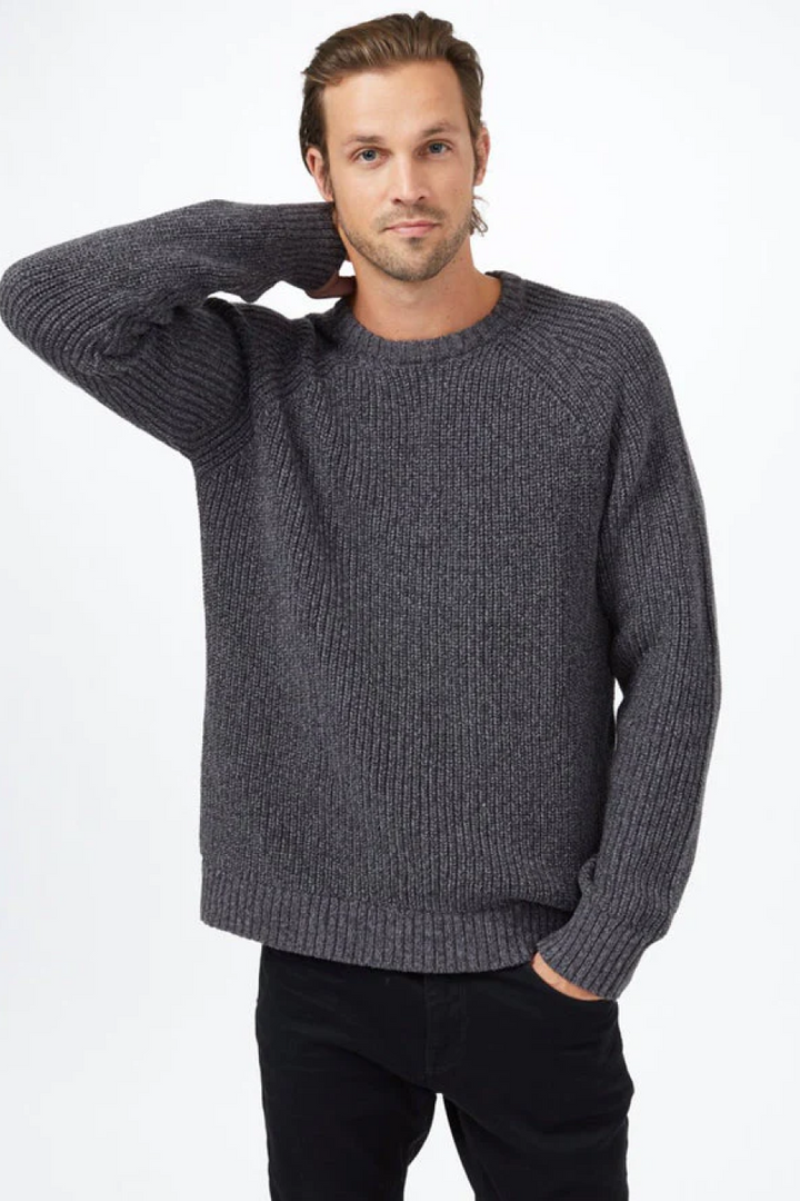 Tentree Men's Highline Wool Crew Sweater