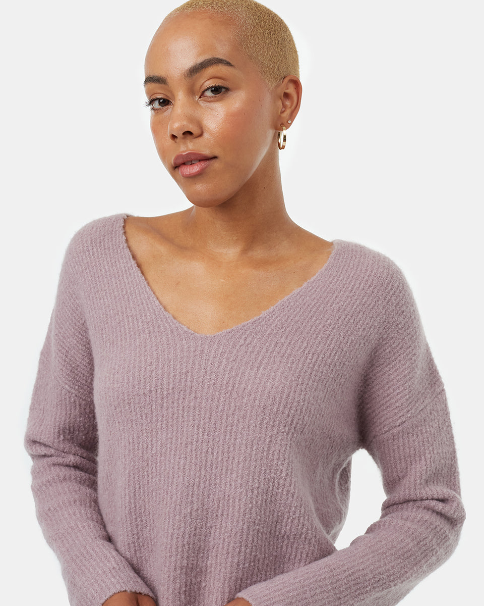 Tentree Highline Fuzzy V-Neck Sweater