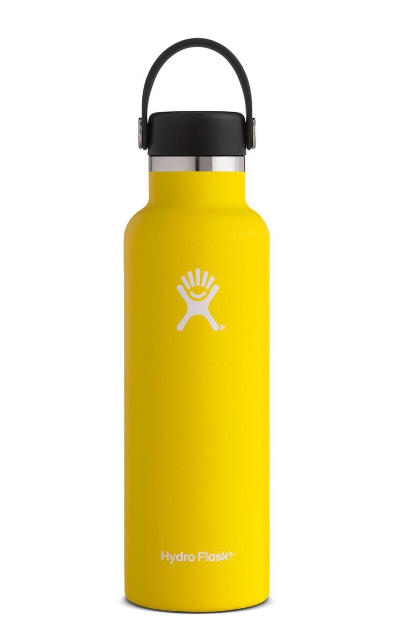 Hydro Flask Standard Mouth Water Bottle with Flex Cap Rain 21oz