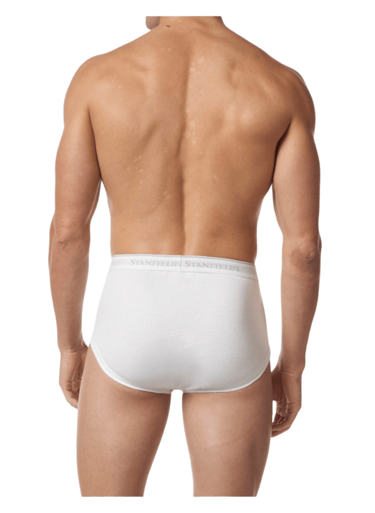 Stanfield's Cotton Stretch Men's 3 Pack Brief Underwear