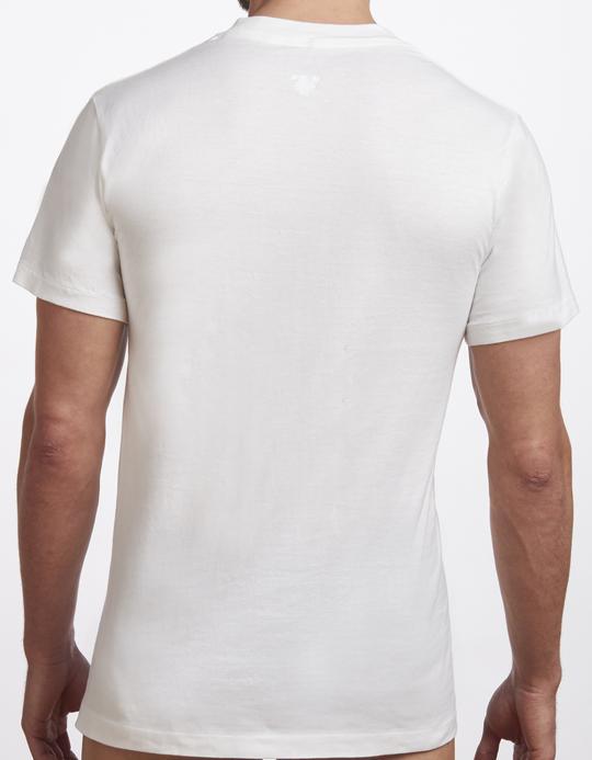 Stanfields T-shirt premium à col en V pour hommes - Lot de 2