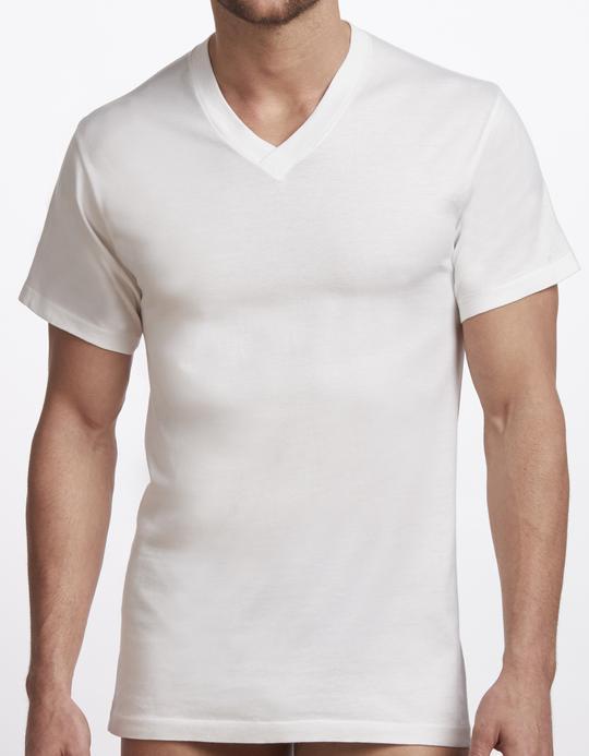 Stanfields Men's Premium V-Neck T-Shirt - 2 Pack