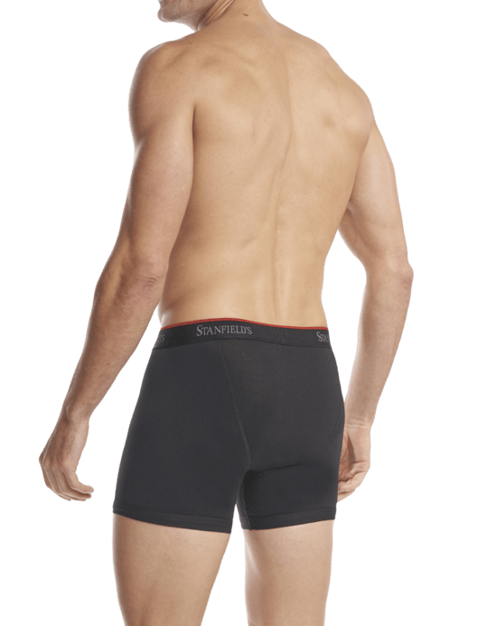 Stanfields Men's Stretch Boxer Brief - 2 Pack