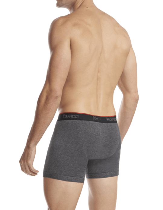 Stanfields Men's Stretch Boxer Brief - 2 Pack