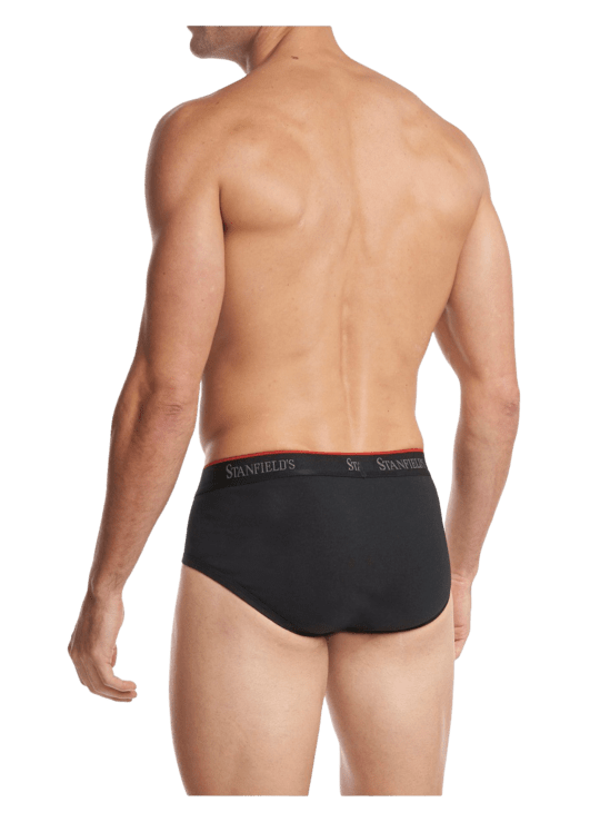 Stanfields Men's Stretch Cotton Brief - 3 Pack – Take It Outside