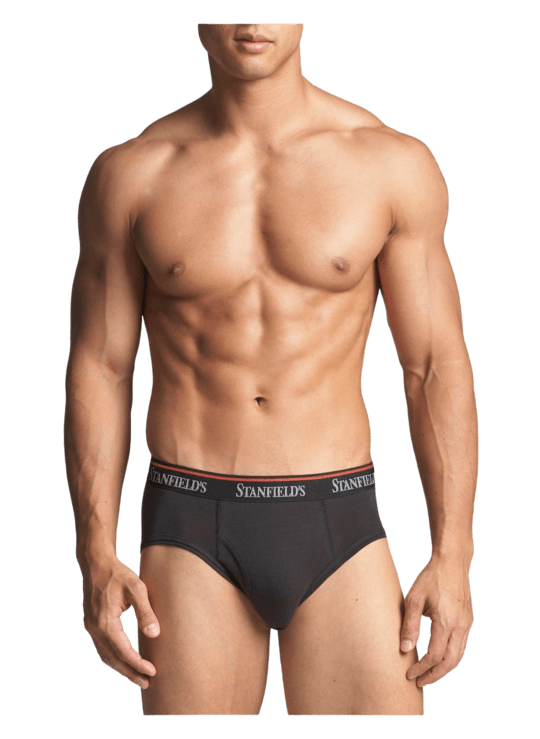 Stanfield's Cotton Stretch Men's 2 Pack Boxer Brief Underwear