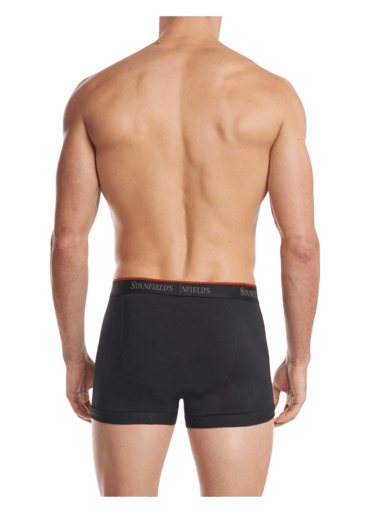 Stanfields Men's Stretch Trunk - 2 Pack