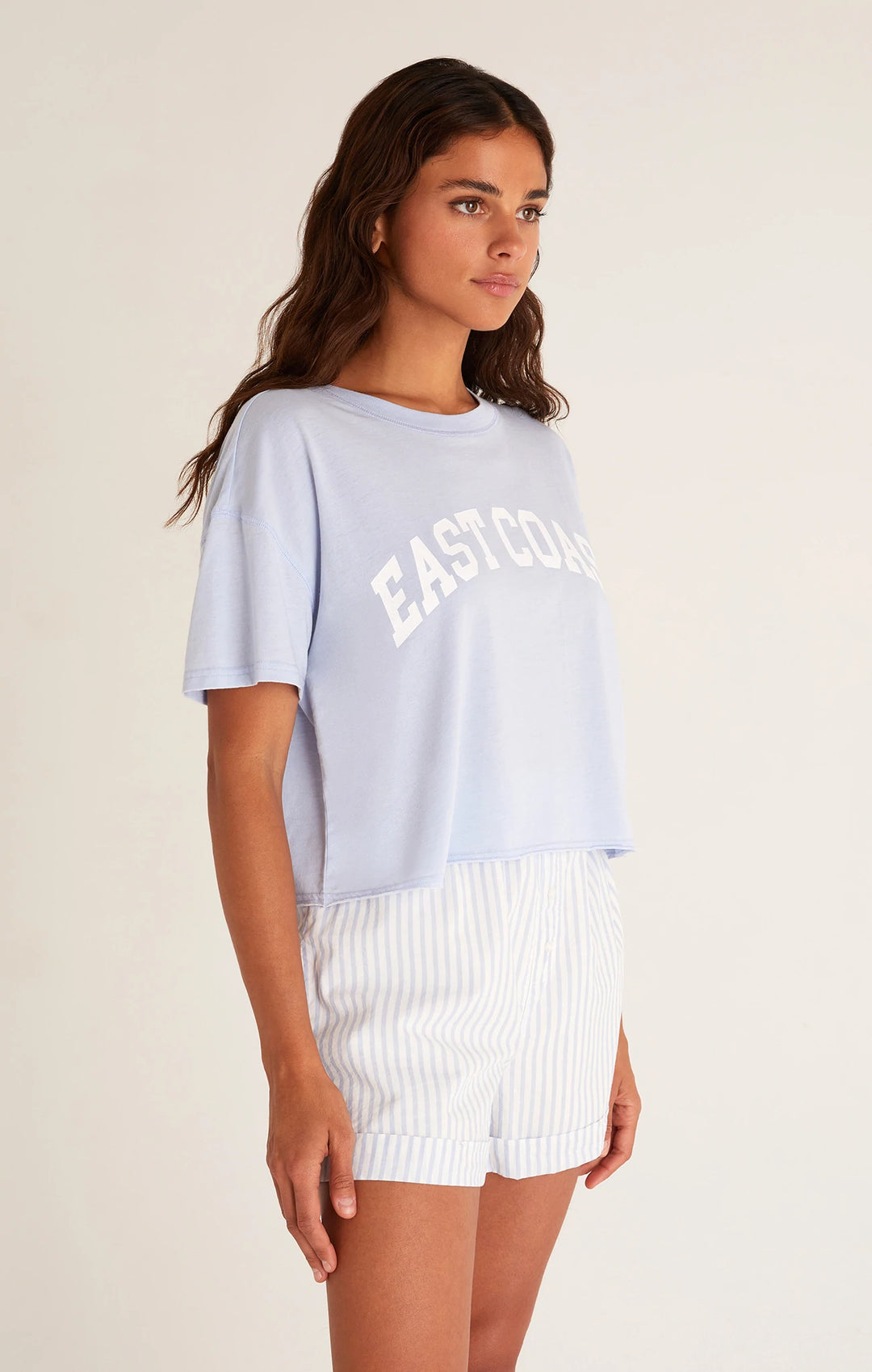 Z Supply Coastal East Coast Tee